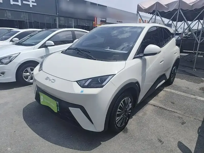 BYD Seagull, 2025