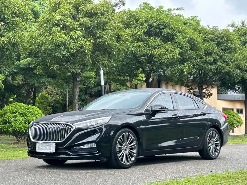 Hongqi H5, 2019