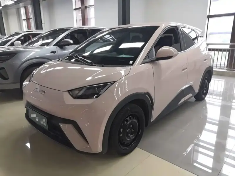 BYD Seagull, 2024