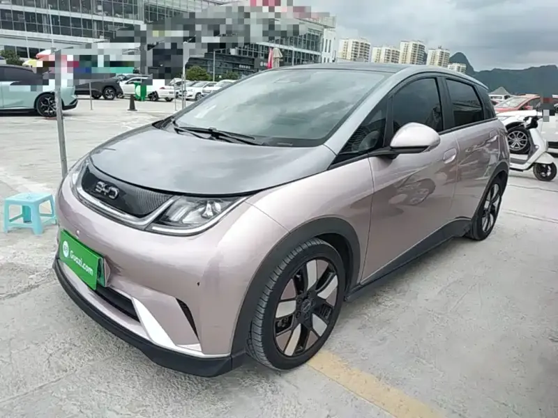 BYD Dolphin, 2021