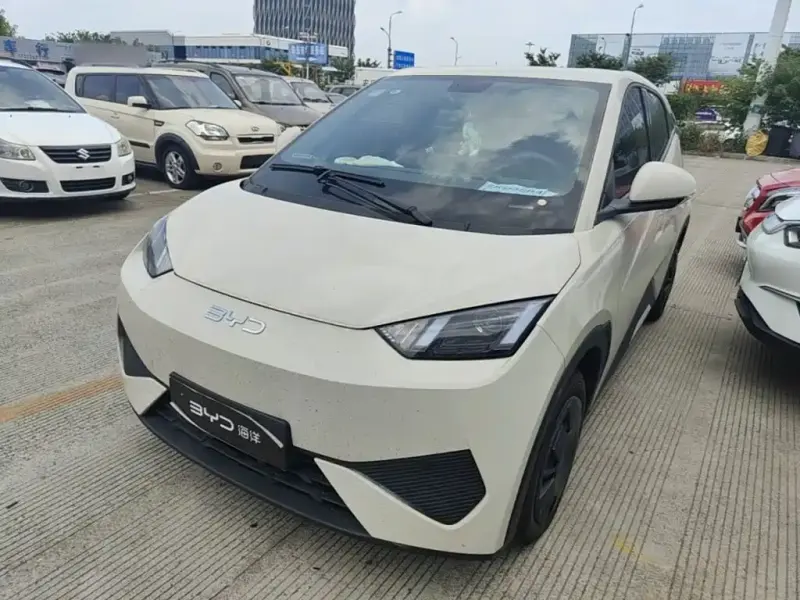 BYD Seagull, 2025