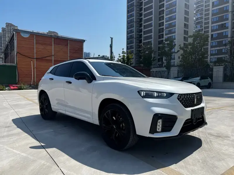 Wey VV7, 2020