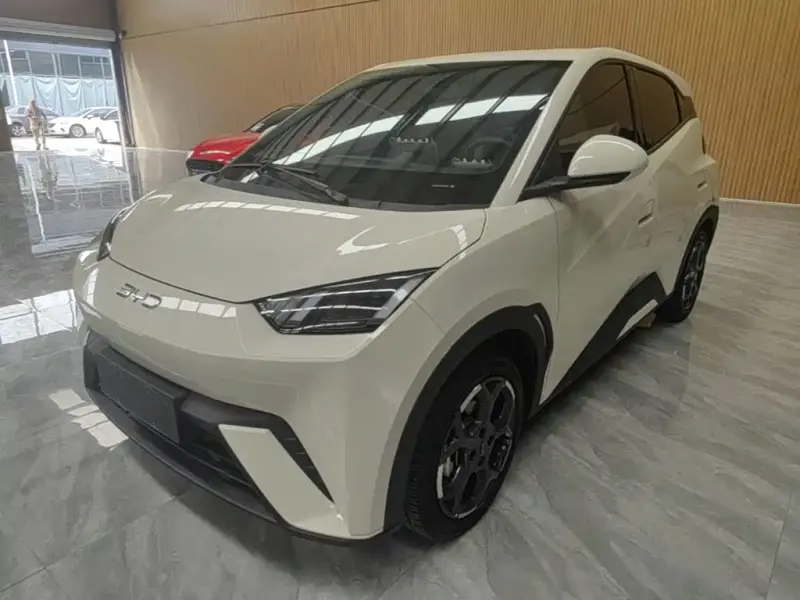 BYD Seagull, 2025
