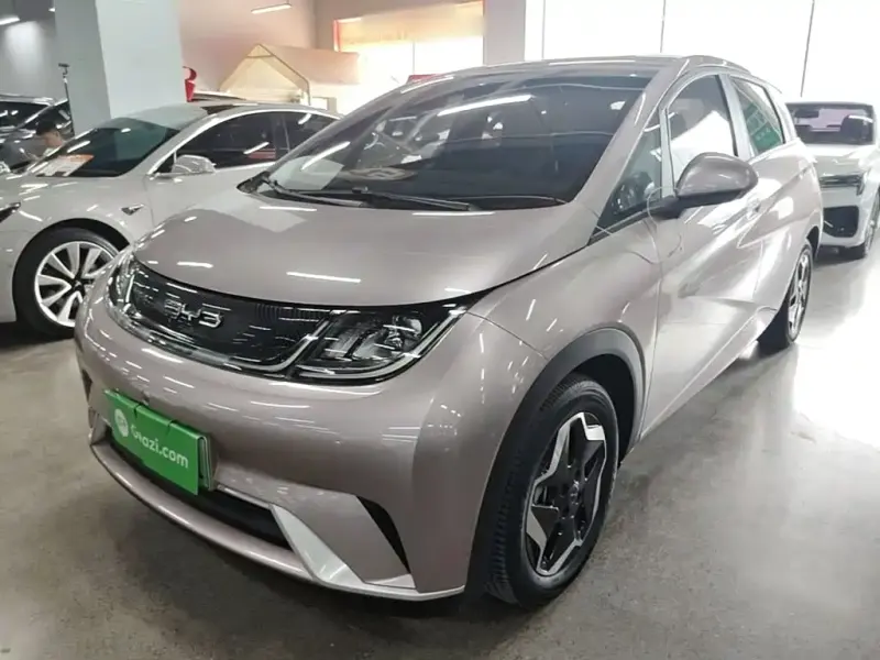 BYD Dolphin, 2023