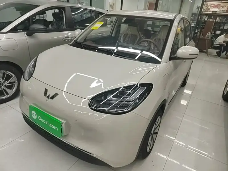 Wuling Bingo, 2026