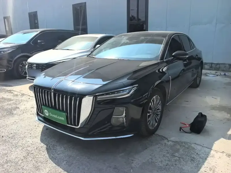 Hongqi H5, 2024