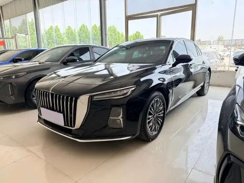 Hongqi H5, 2025