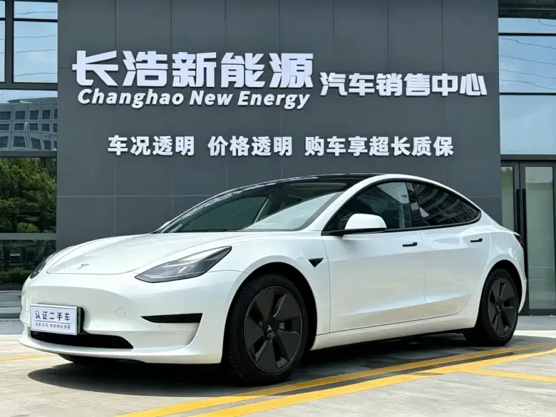 Tesla Model 3, 2021