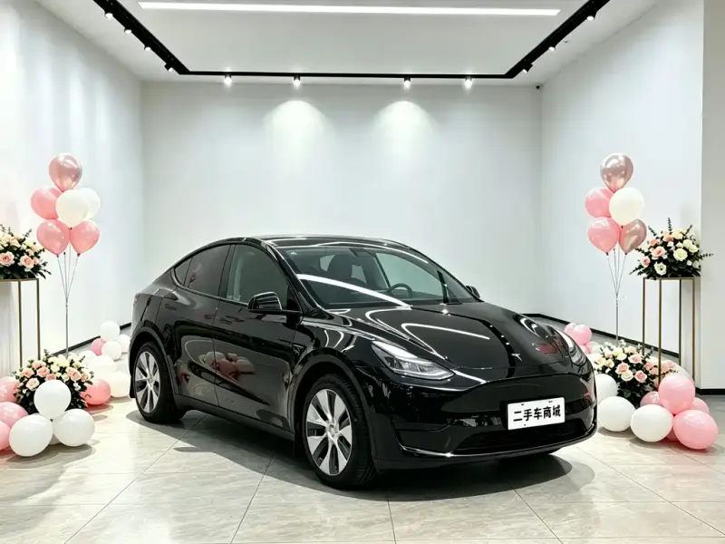 Tesla Model Y, 2023