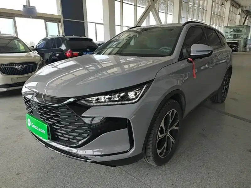 BYD Tang New Energy, 2024