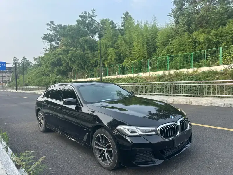 BMW 5 Series, 2021