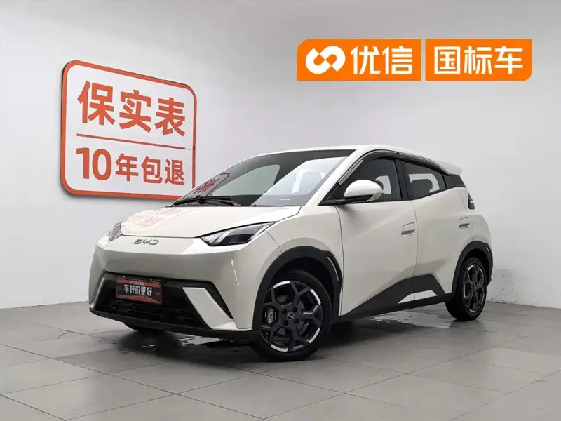 BYD Seagull, 2024
