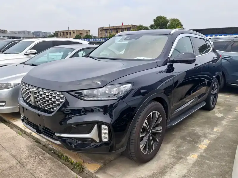 Wey VV6, 2021