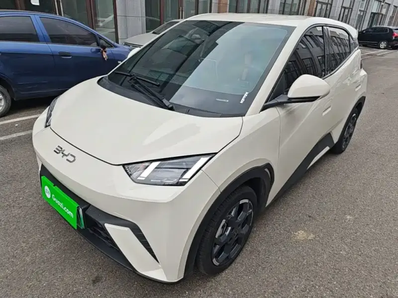 BYD Seagull, 2024