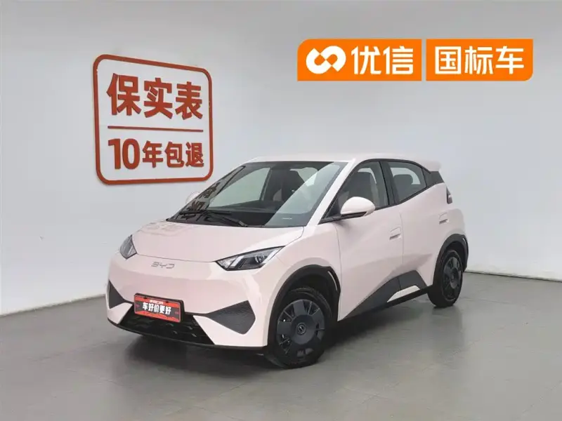 BYD Seagull, 2025