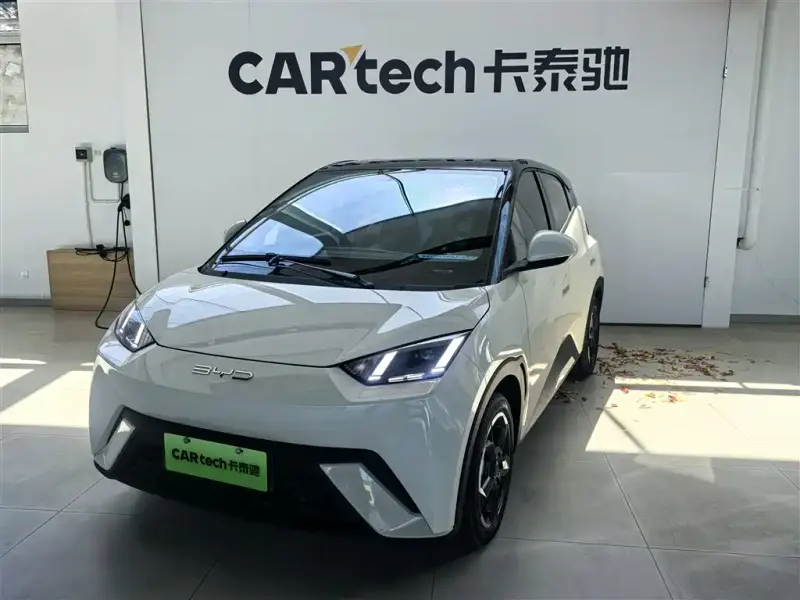 BYD Seagull, 2024