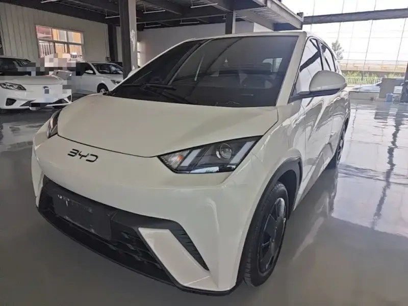 BYD Seagull, 2025
