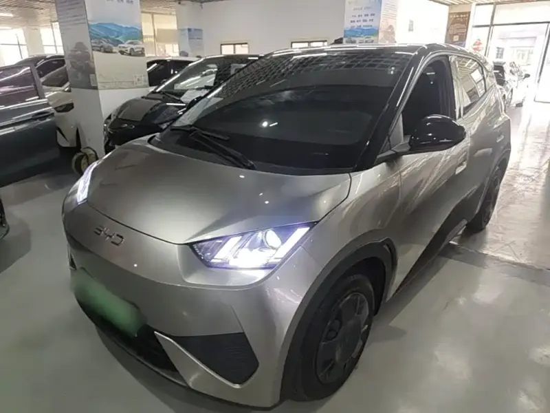 BYD Seagull, 2025