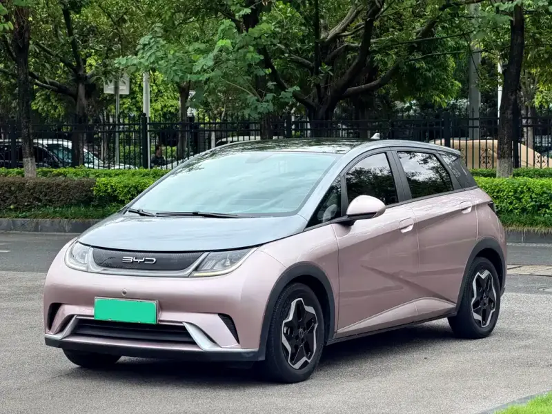 BYD Dolphin, 2022