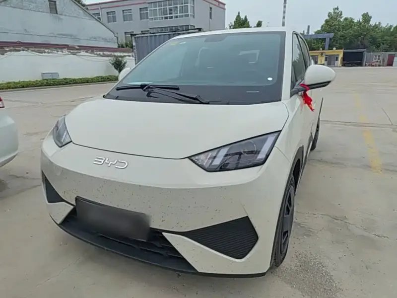 BYD Seagull, 2026