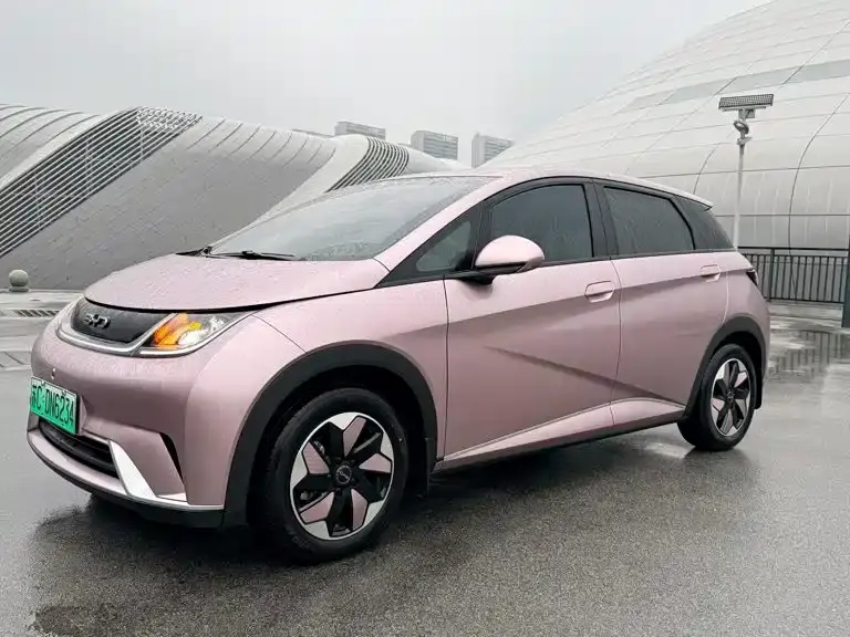 BYD Dolphin, 2024