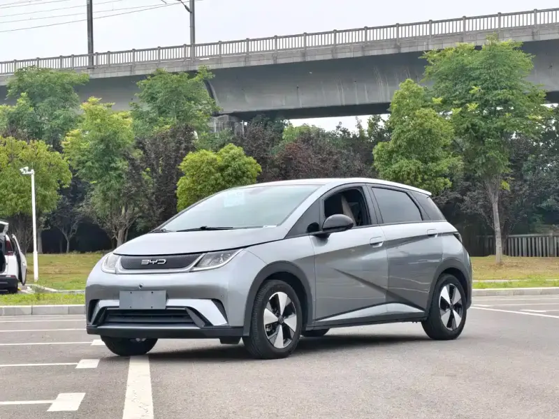 BYD Dolphin, 2023
