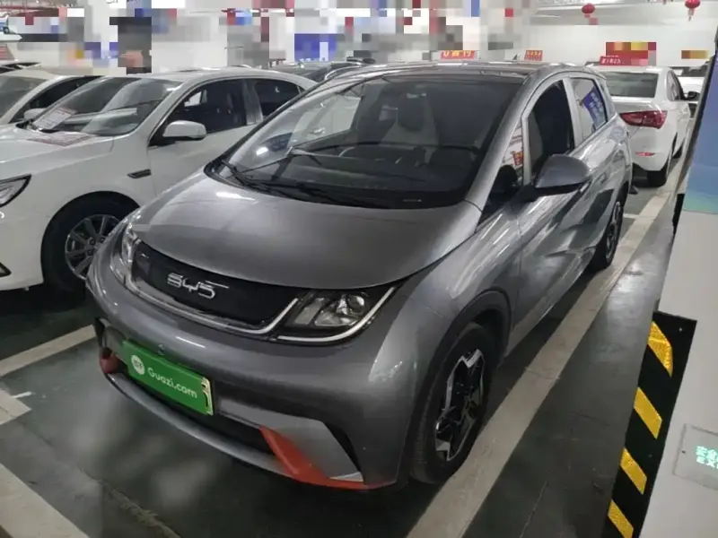 BYD Dolphin, 2023