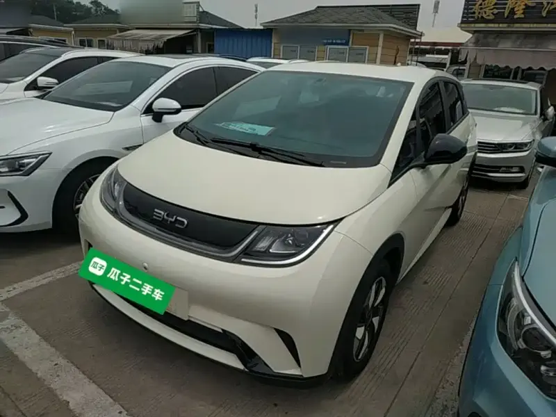 BYD Dolphin, 2024