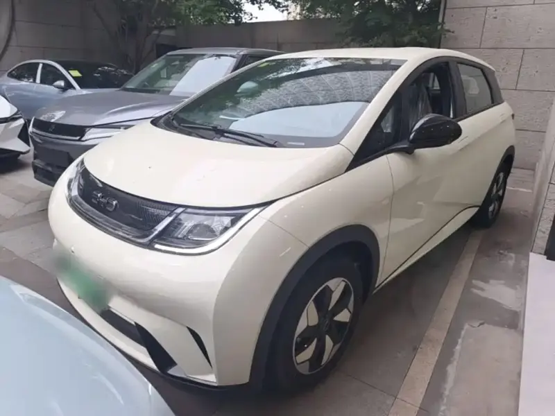 BYD Dolphin, 2026