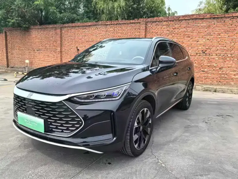 BYD Tang New Energy, 2024