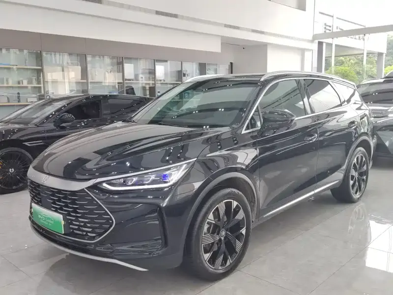 BYD Tang New Energy, 2024