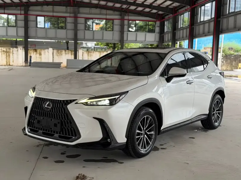 Lexus NX New Energy, 2021