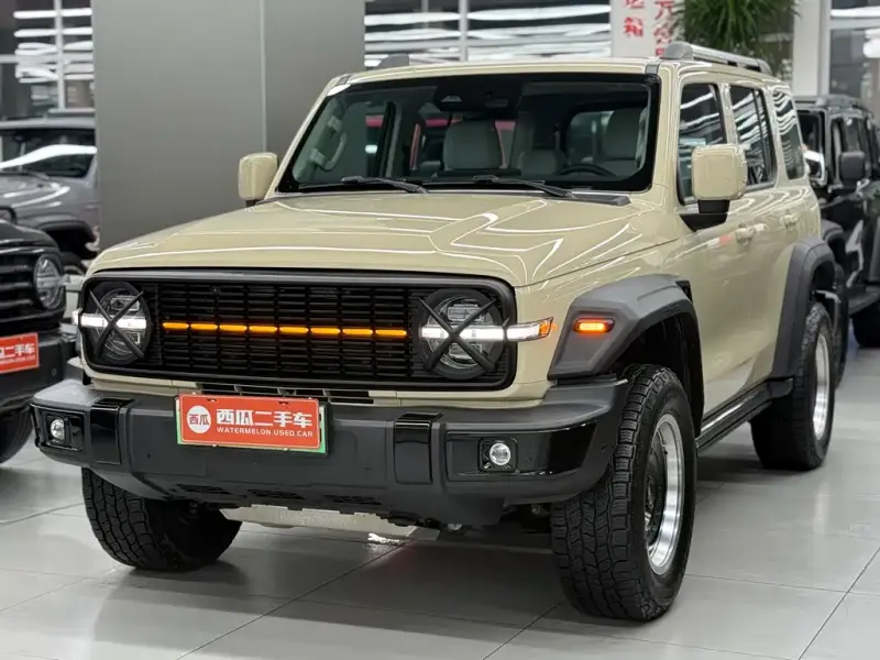 Tank 300 New Energy, 2025