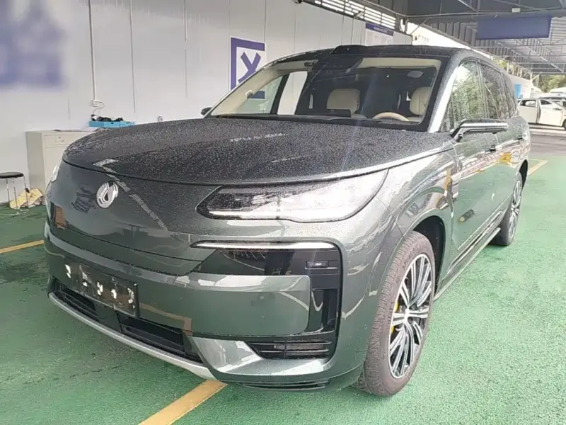 Denza N9, 2025
