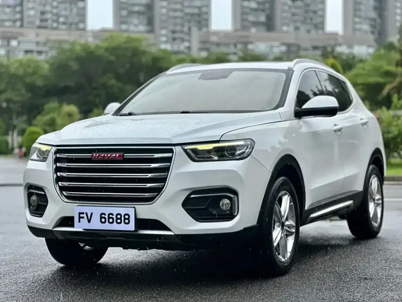 Haval H4, 2019