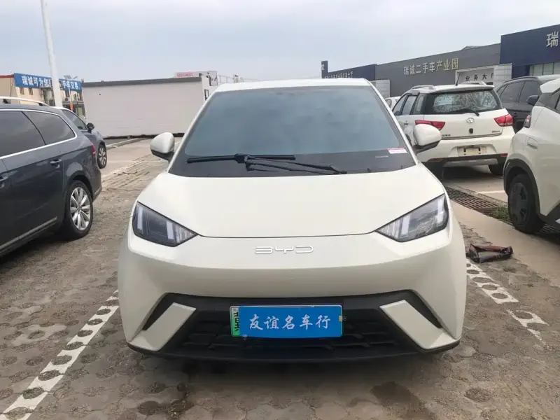 BYD Seagull, 2024