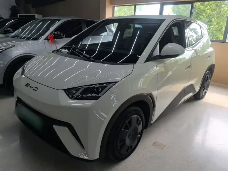 BYD Seagull, 2024