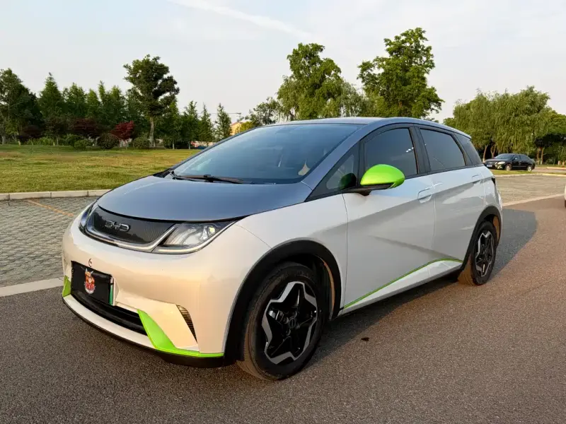 BYD Dolphin, 2022