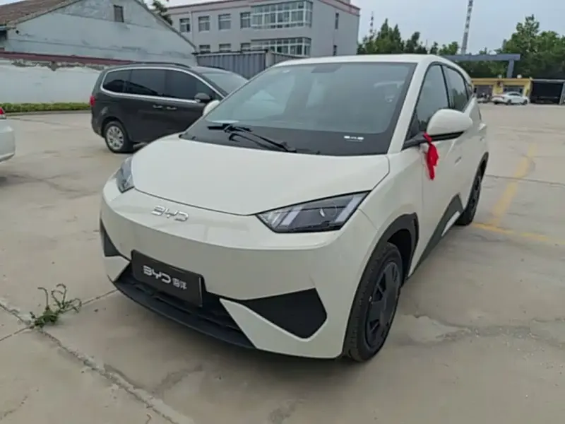 BYD Seagull, 2026