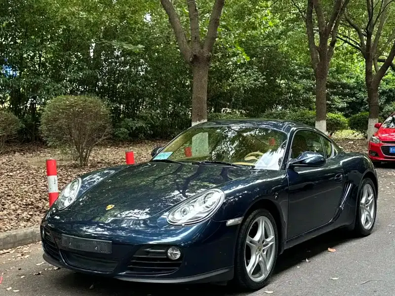 Porsche Cayman, 2011