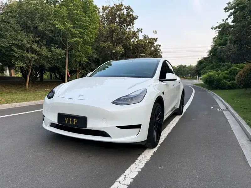 Tesla Model Y, 2022