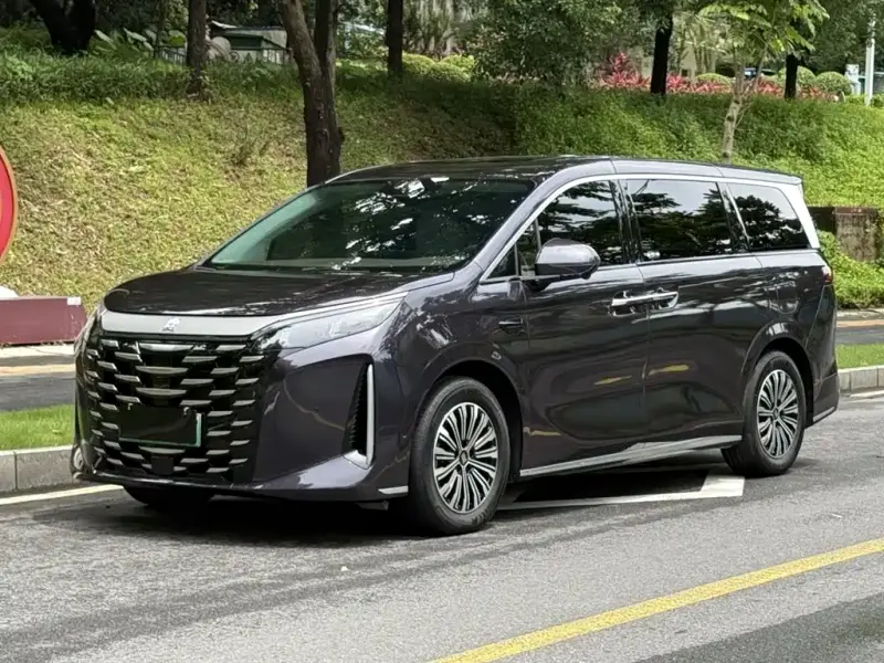 BYD Xia, 2025