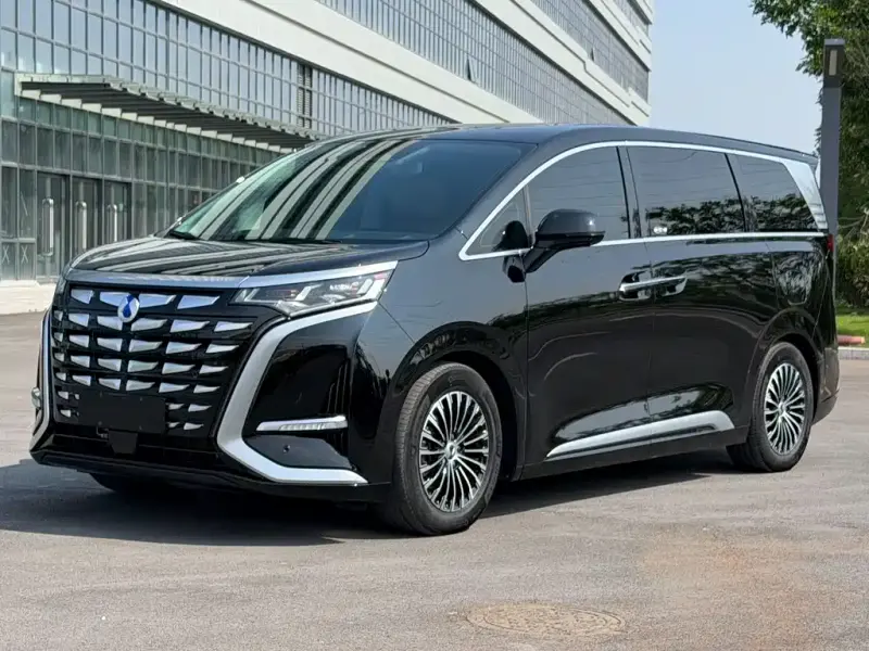 Denza D9, 2024