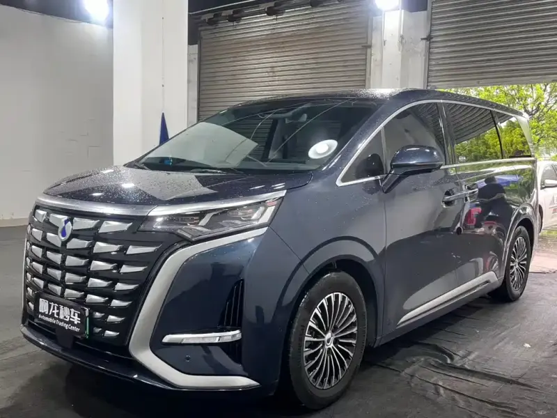 Denza D9, 2024