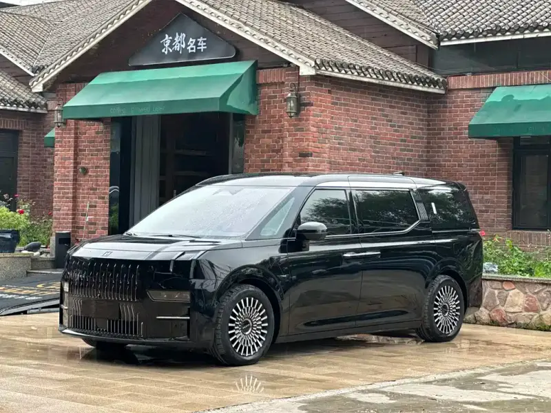 Zeekr 009, 2024
