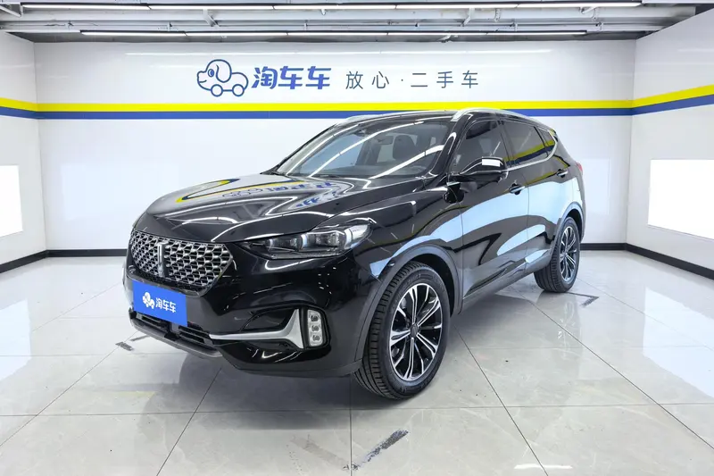 Wey VV6, 2021