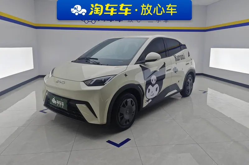 BYD Seagull, 2024