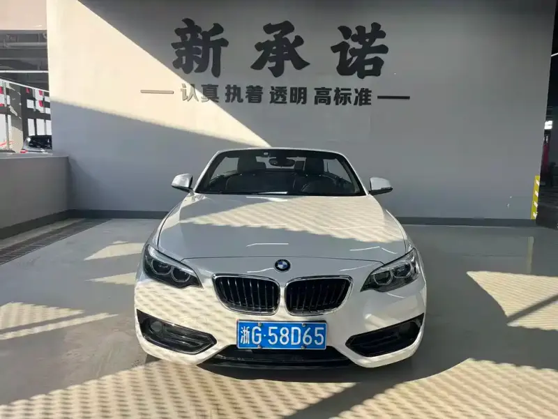 BMW 2 Series (Import), 2018