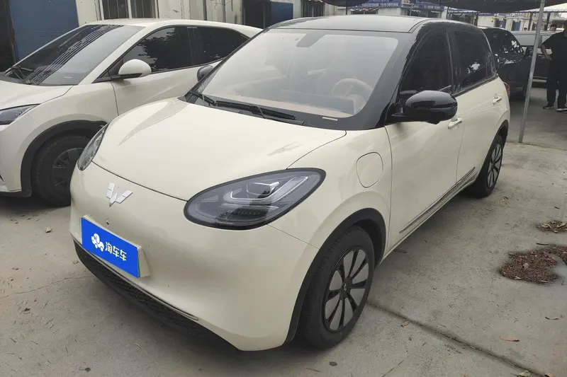 Wuling Bingo, 2024