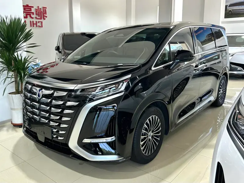 Denza D9 DM, 2024